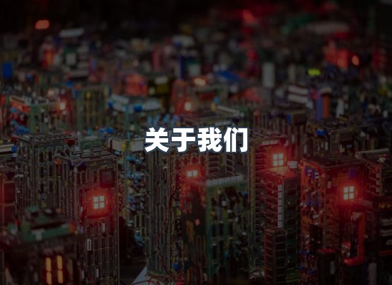 专业团队