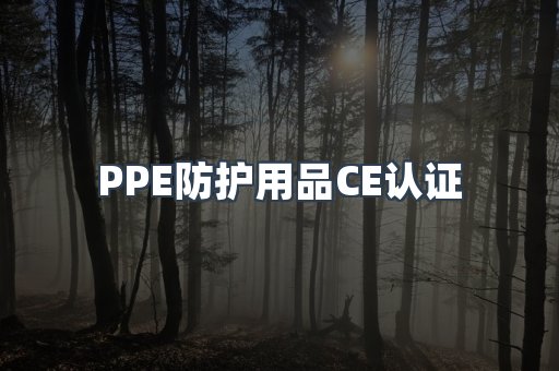 口罩防护类系列CE认证